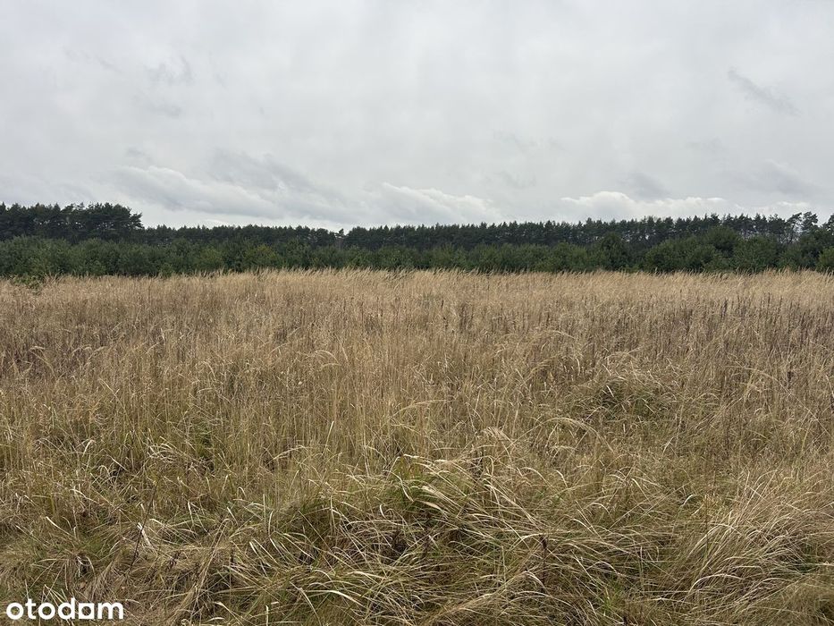 Wyjątkowa Działka Pod Lasem Zostały Tylko 2