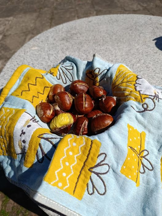Castanhas sem químicos