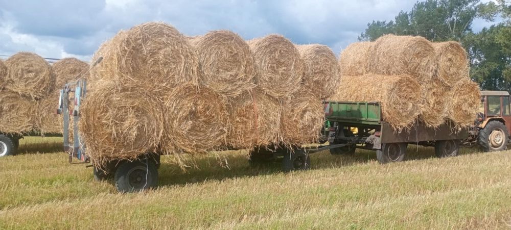 Sprzedam przyczepy-lawety