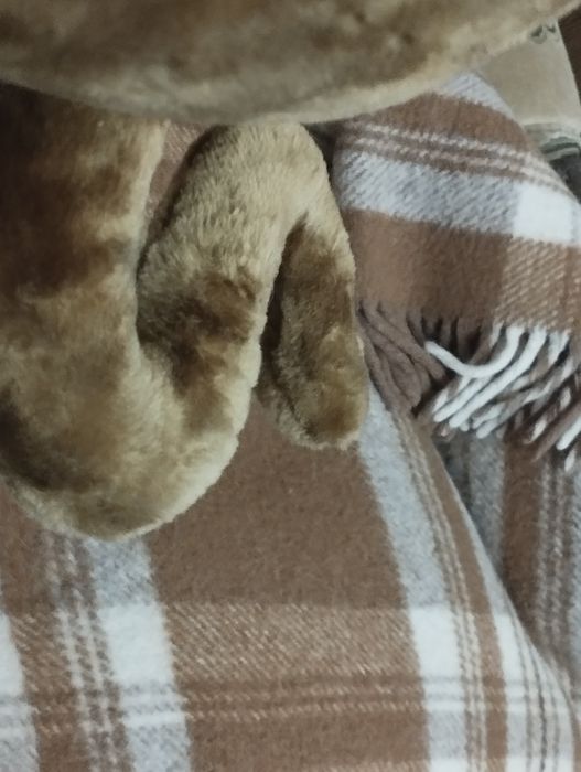 Улюбленець Скубі-Ду. Великий. М'який. Якісний.