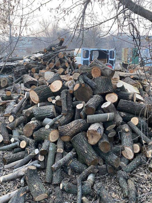 Дрова чурки попиляні 30-40 см,  дробленка, щепа брикети RUF