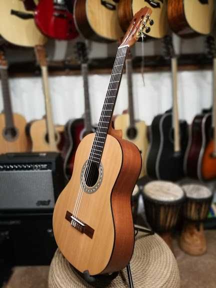 Ars Nova 1C gitara klasyczna 4/4 ArsNova 1 solid cedar top