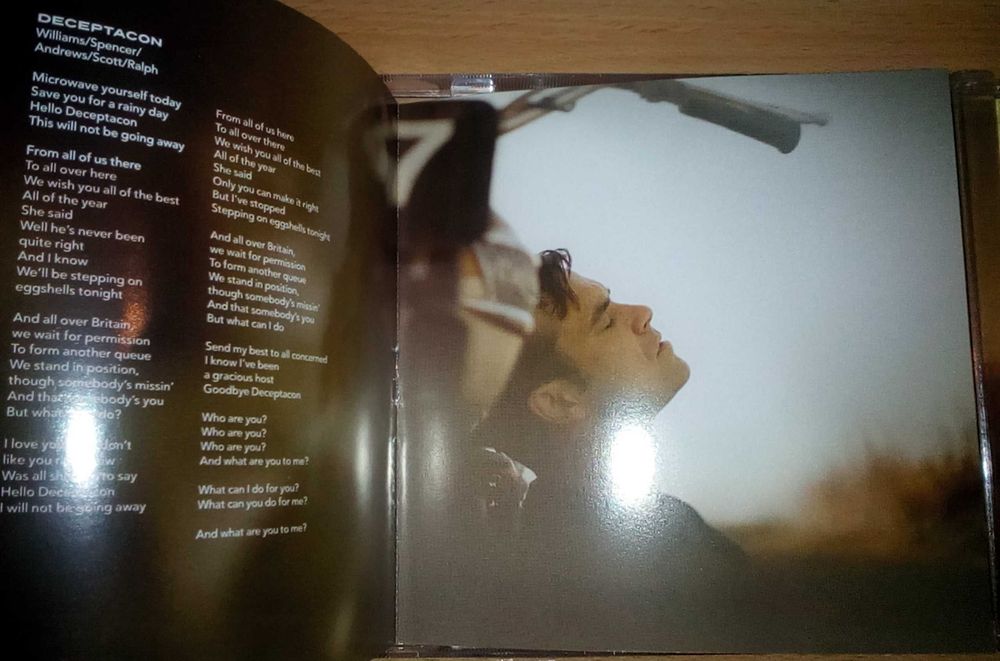 Robbie Williams "Reality killed the video star"