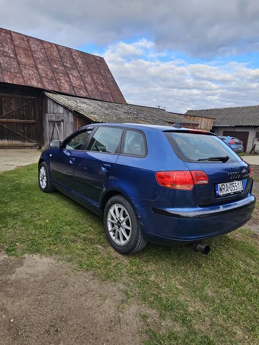 Audi a3 8p 1.9tdi (s line)