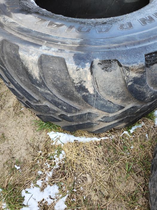 Opona 710/50 R - 26.5 Trelleborg (700/50) wzmocniona zdrowa zachodnia