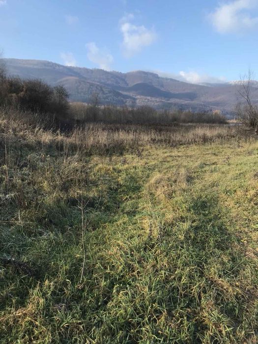 Зем. ділянка 25 соток с.Велятино