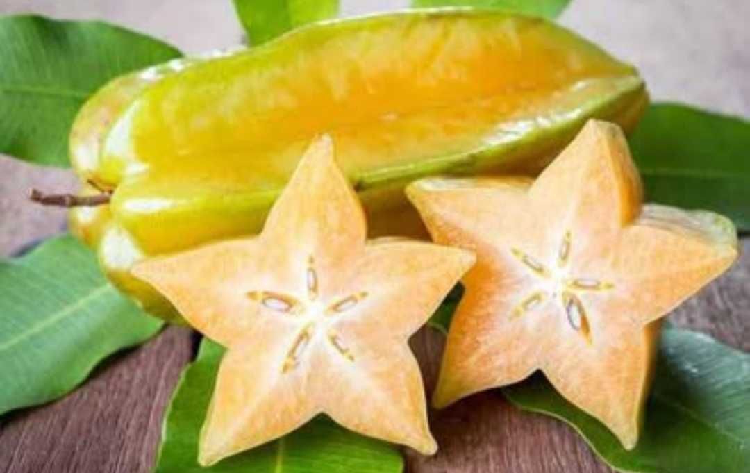 Sementes carambola ou star fruit
Leiam a descrição
