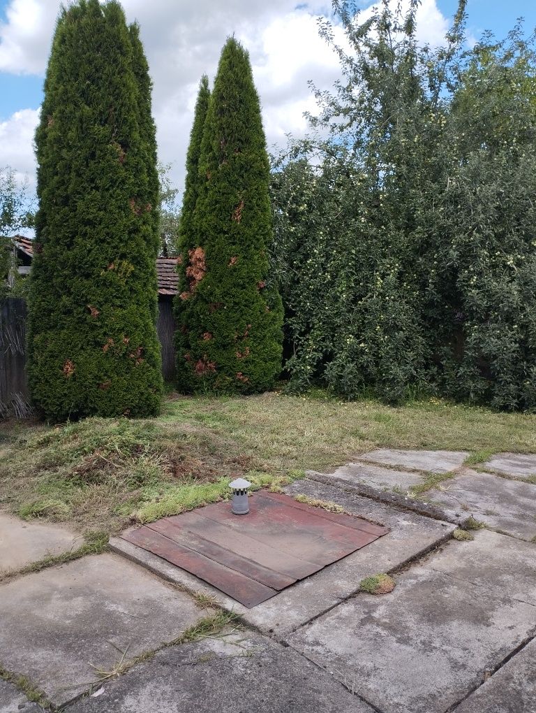 Продам дом Закарпатье Берегуйфолу