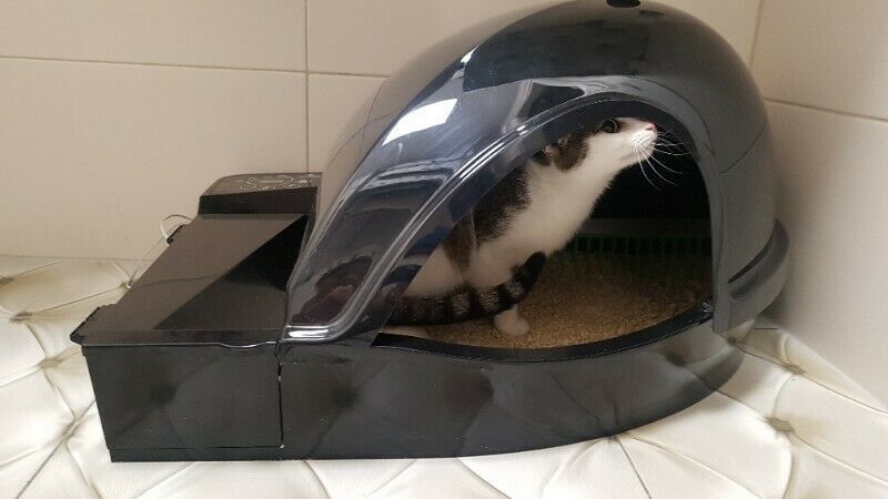 Automatyczna kuweta dla kota Smart Kitty (czarna, z białą pokrywą)