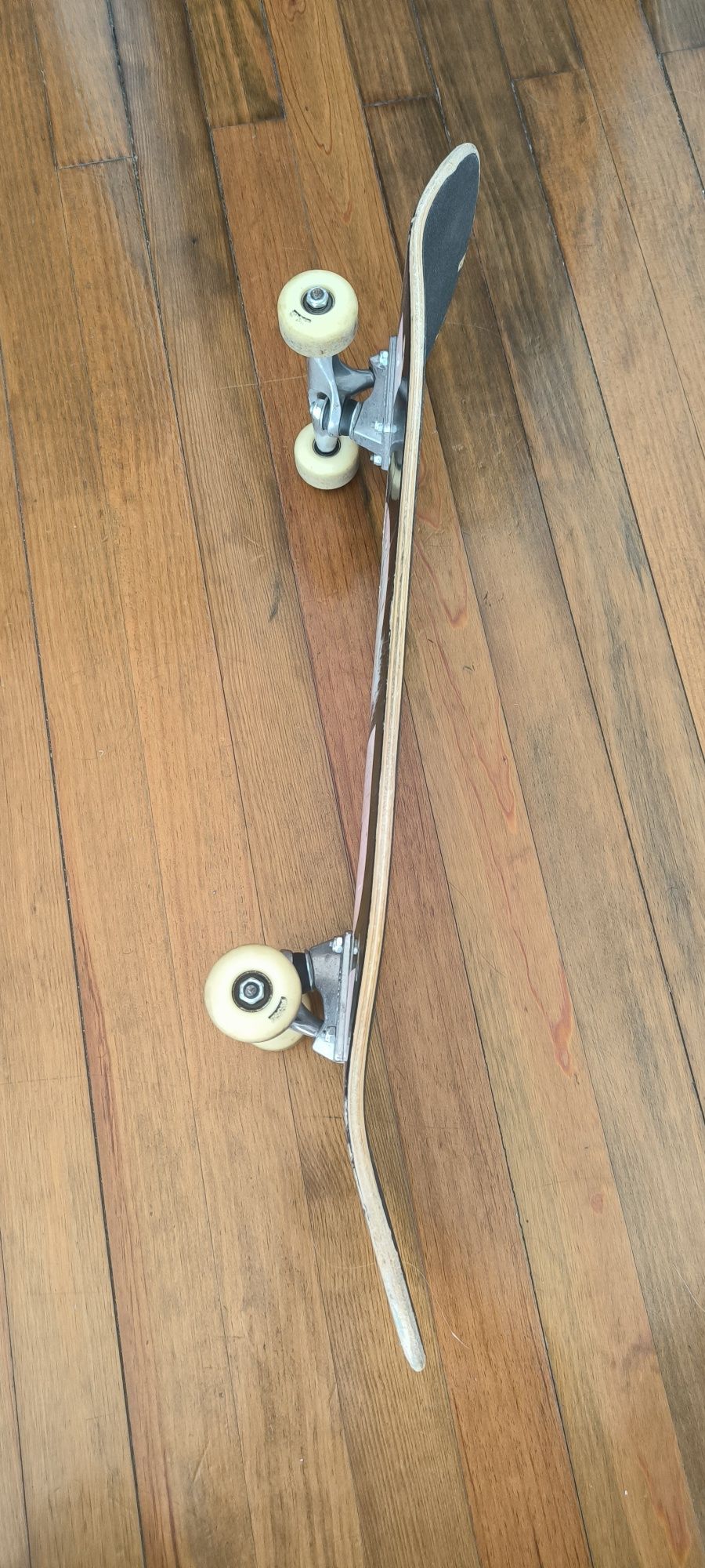 Skate Globe usado