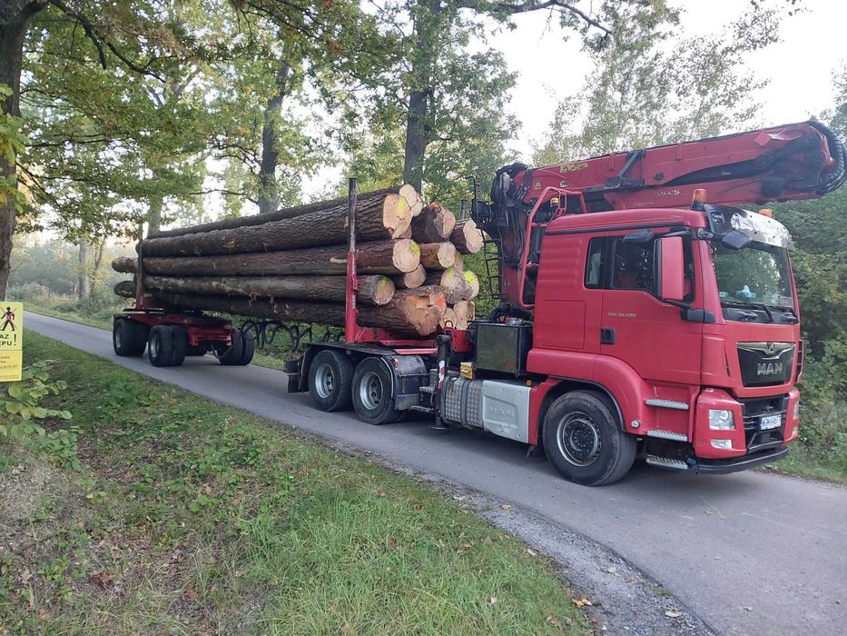 MAN TGS 500 Do Lasu , Drewna