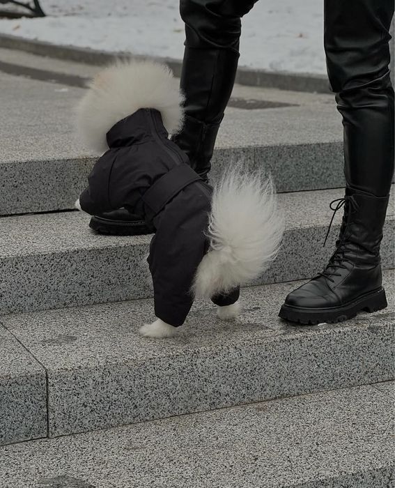 Комбінезон для собачки зима