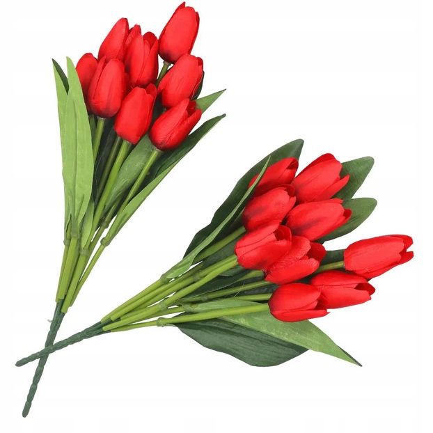 Bukiet Tulipan 9 Łodyg 42 Cm Czerwony