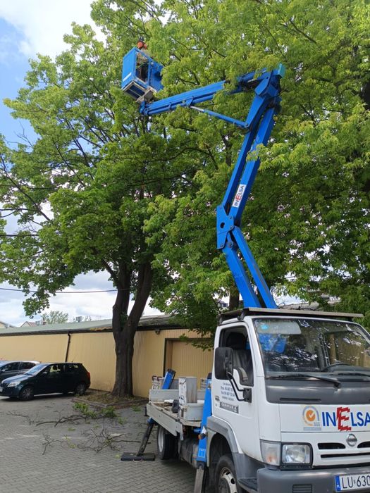 Wycinka Drzew Alpinistycznie Profesjonalnie
