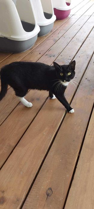 ZUSKA - Schronisko dla Zwierząt w Ostródzie