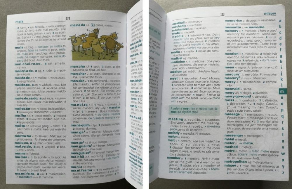 Dicionários ilustrados Português-Inglês (Preço do conjunto)