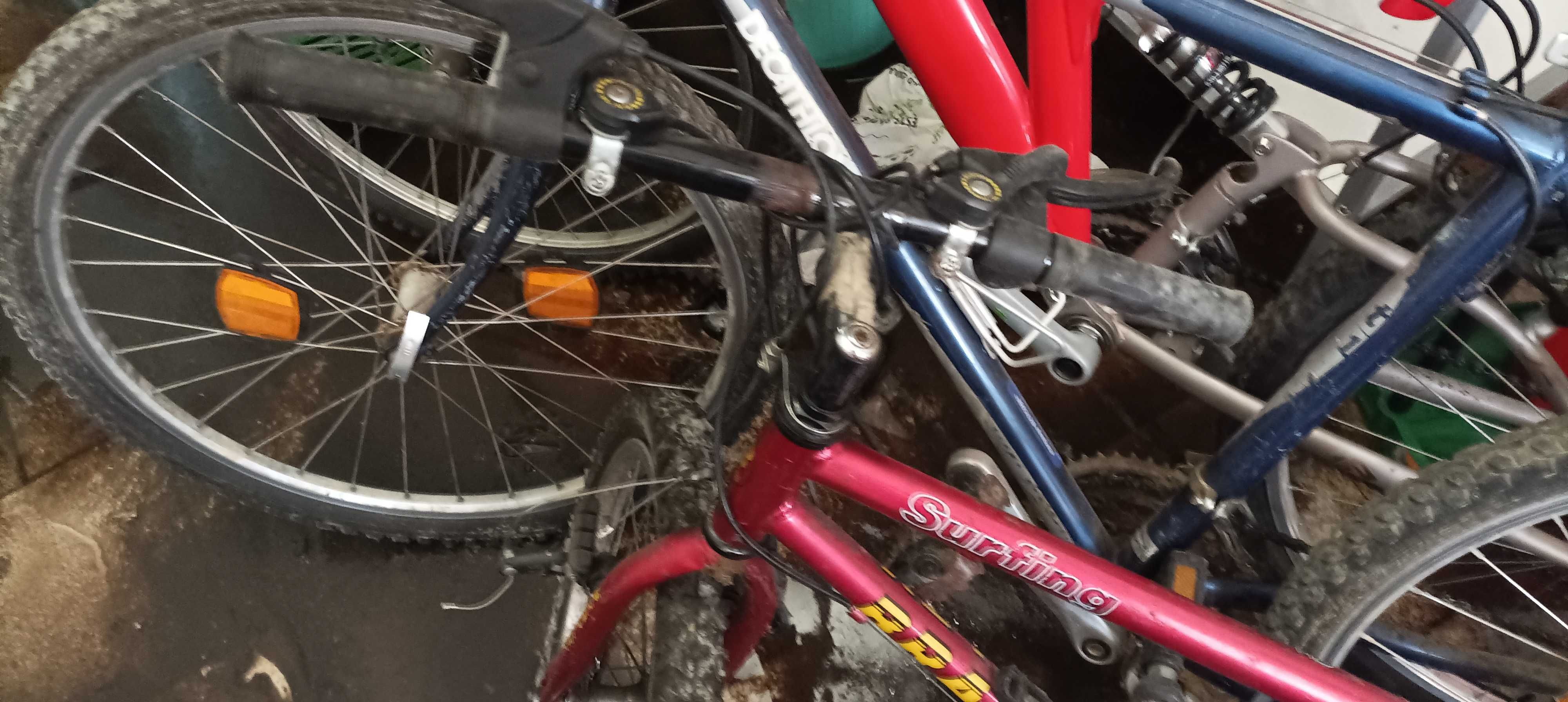 Bicicletas para uma familia