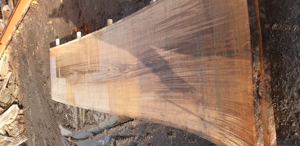 blaty drewniane dąb jesion wiąz orzech monolit decha live edge wood