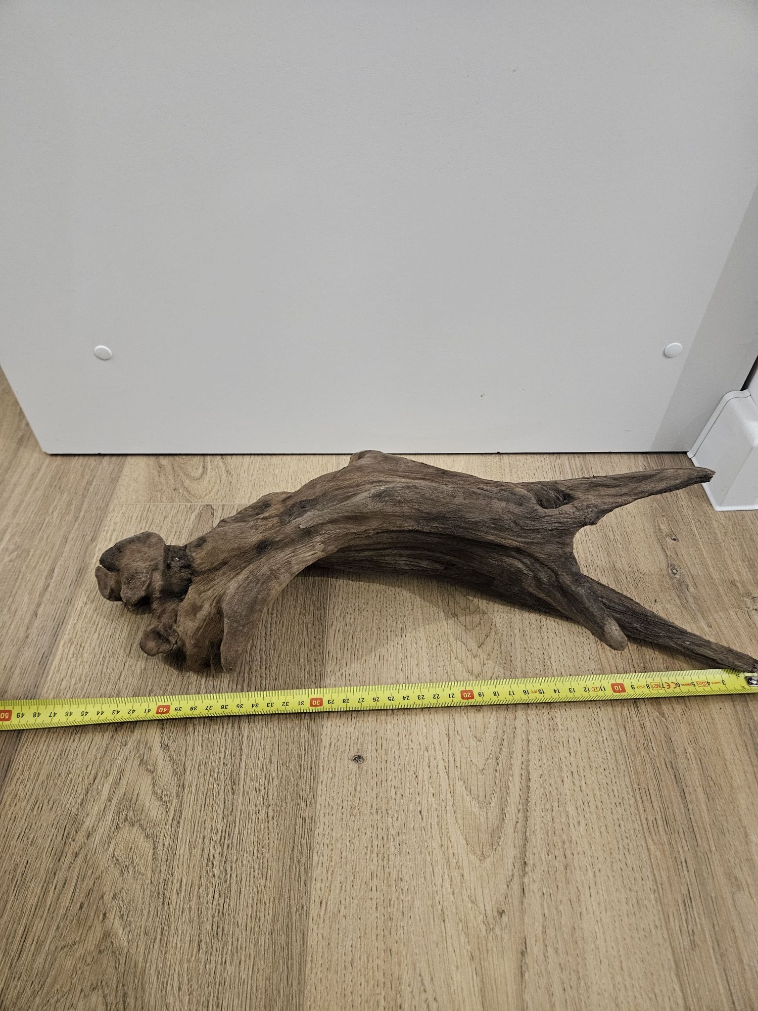 Korzeń do akwarium 45 cm