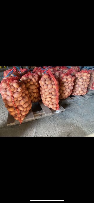 Ziemniaki jadalne workowane 15 kg