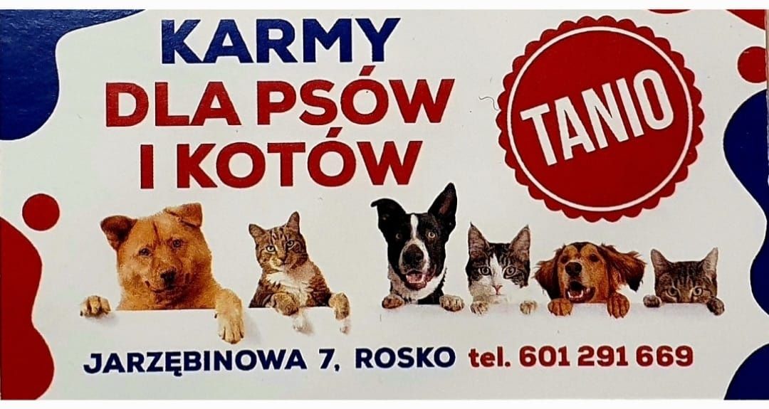 12x800g Wolf Blue River ryba dla Psa bez ZBÓŻ wysokiej jakości mięsna