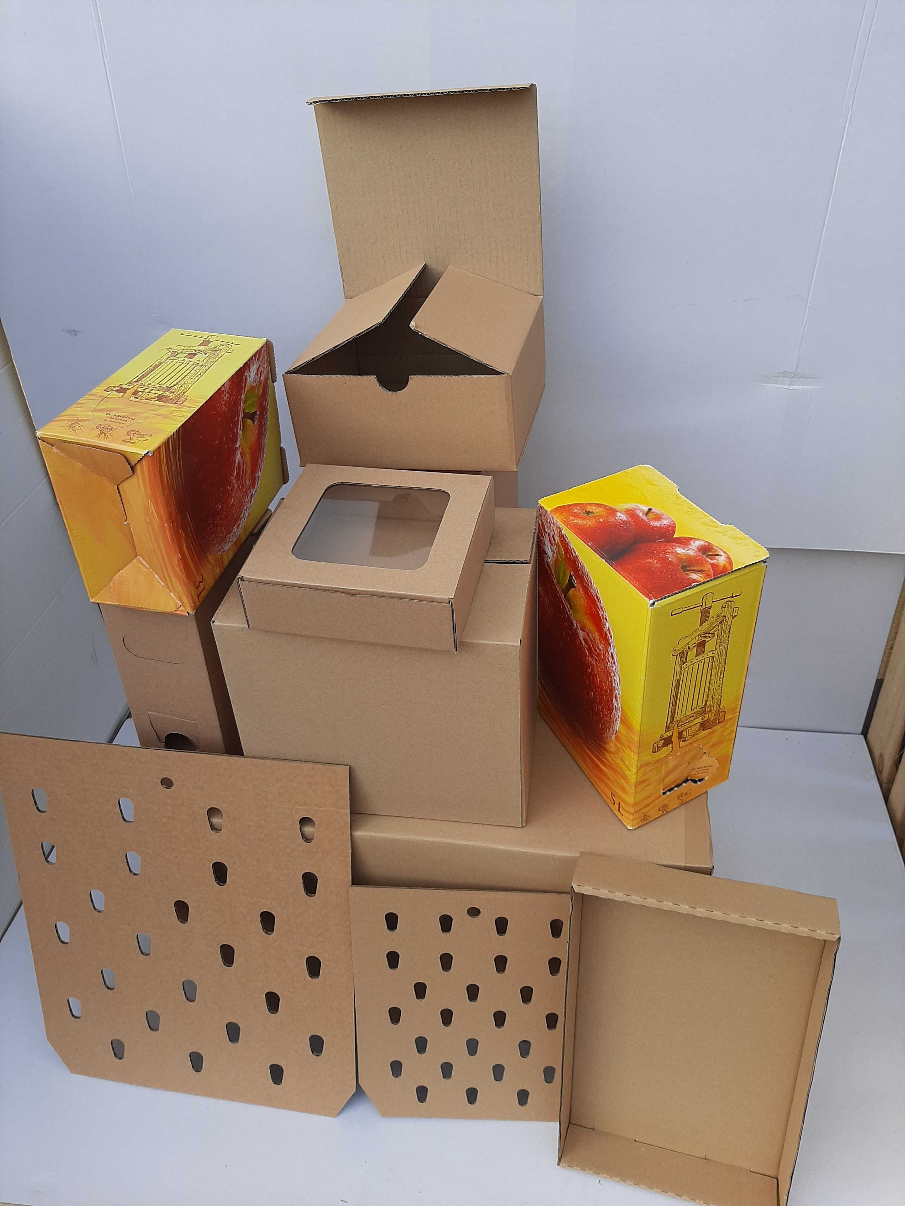 Kartony na Sok w Bag IN Box