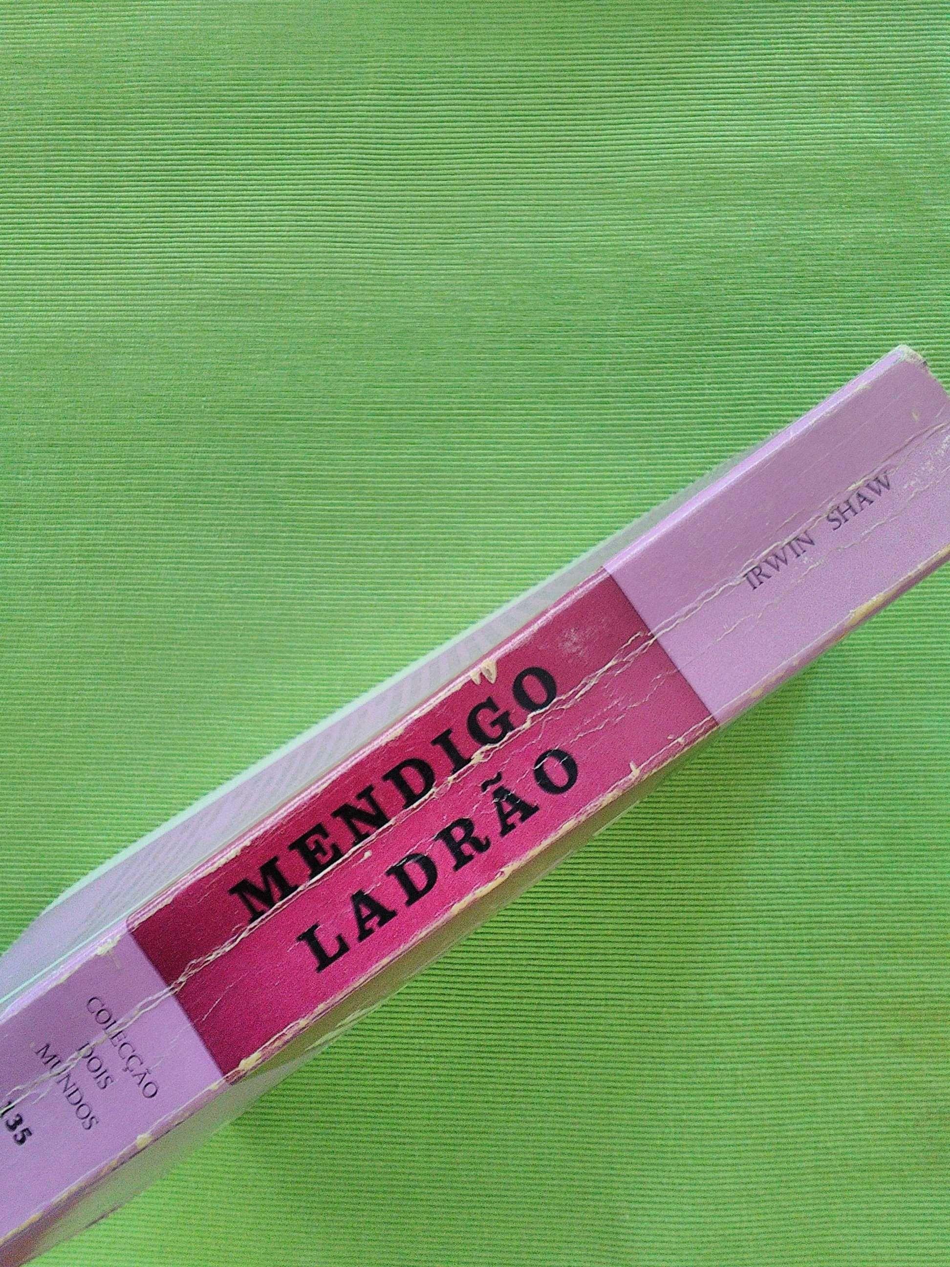 Mendigo Ladrão por Irwin Swaw
