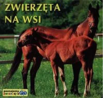 Poznajemy zwierzęta - Zwierzęta na wsi - praca zbiorowa