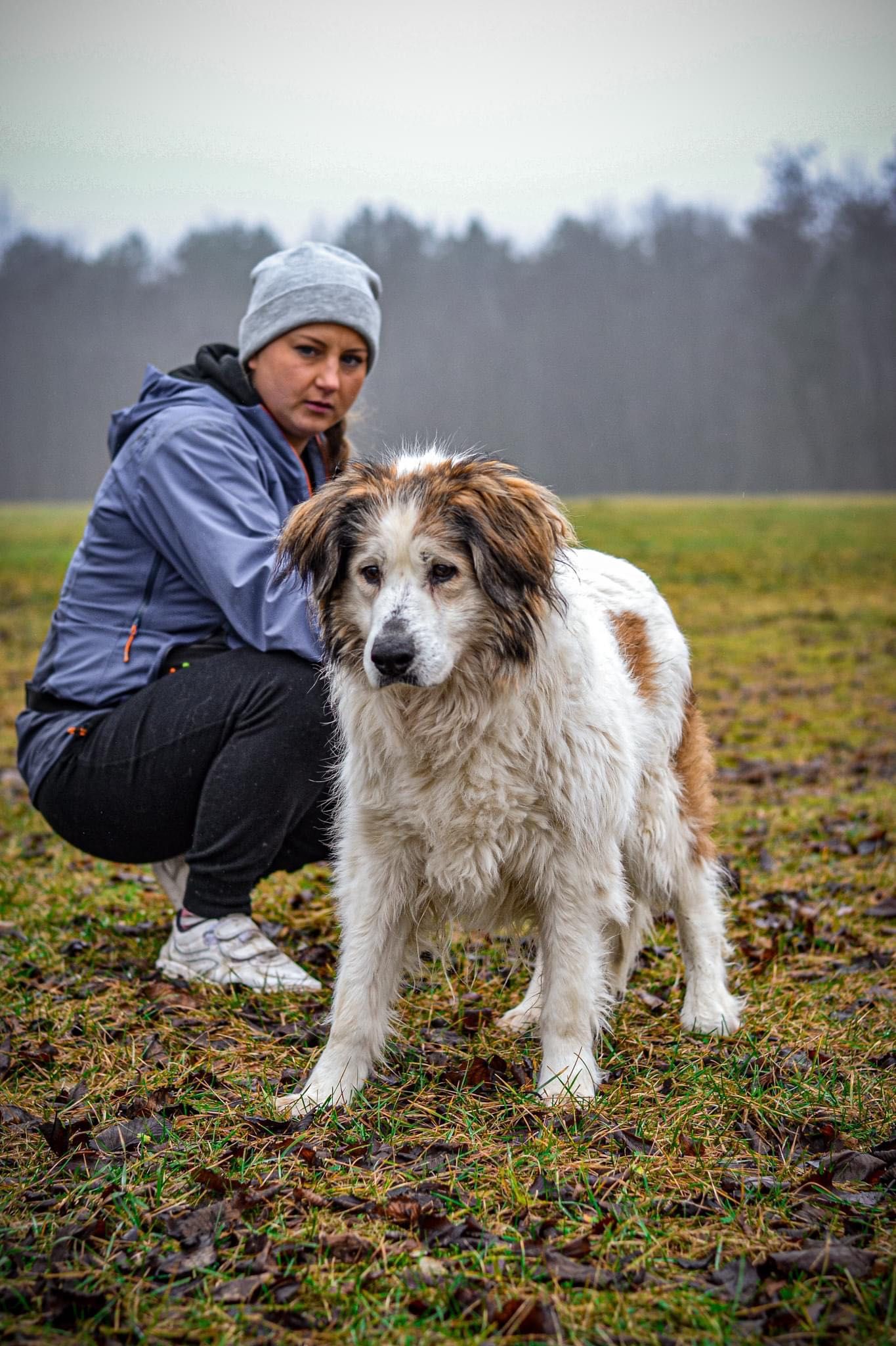 Piękna biała Dama do adopcji