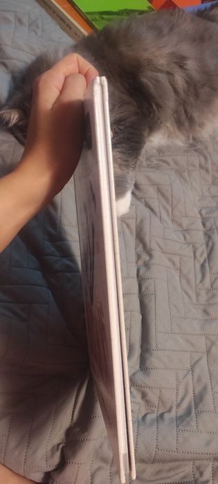 Pan Pierdziołka spadł ze stołka powtarzanki i śpiewanki zysk i s-ka