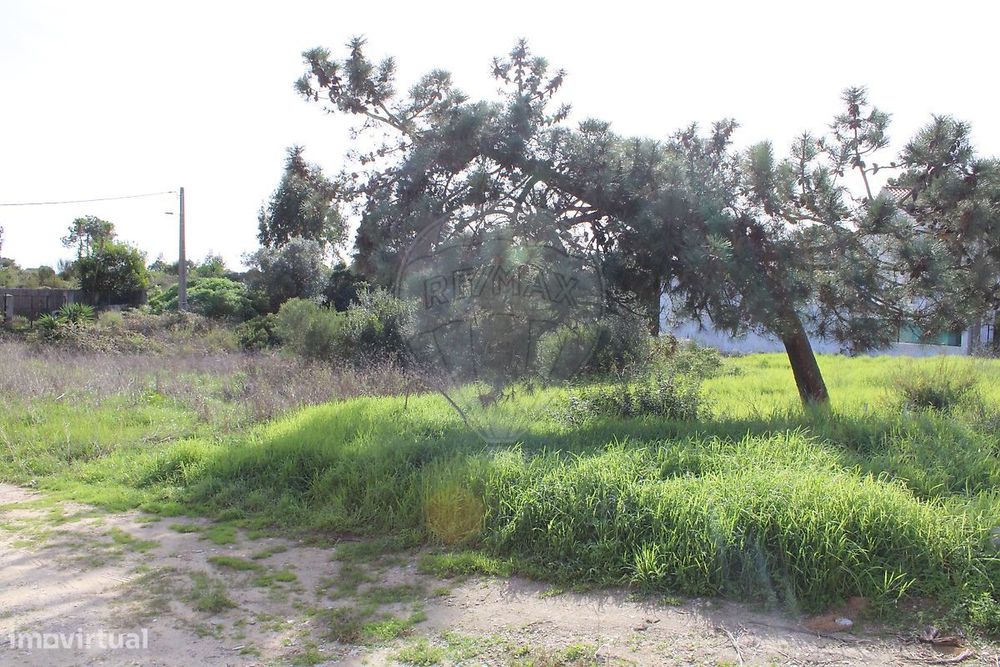 Terreno  para venda