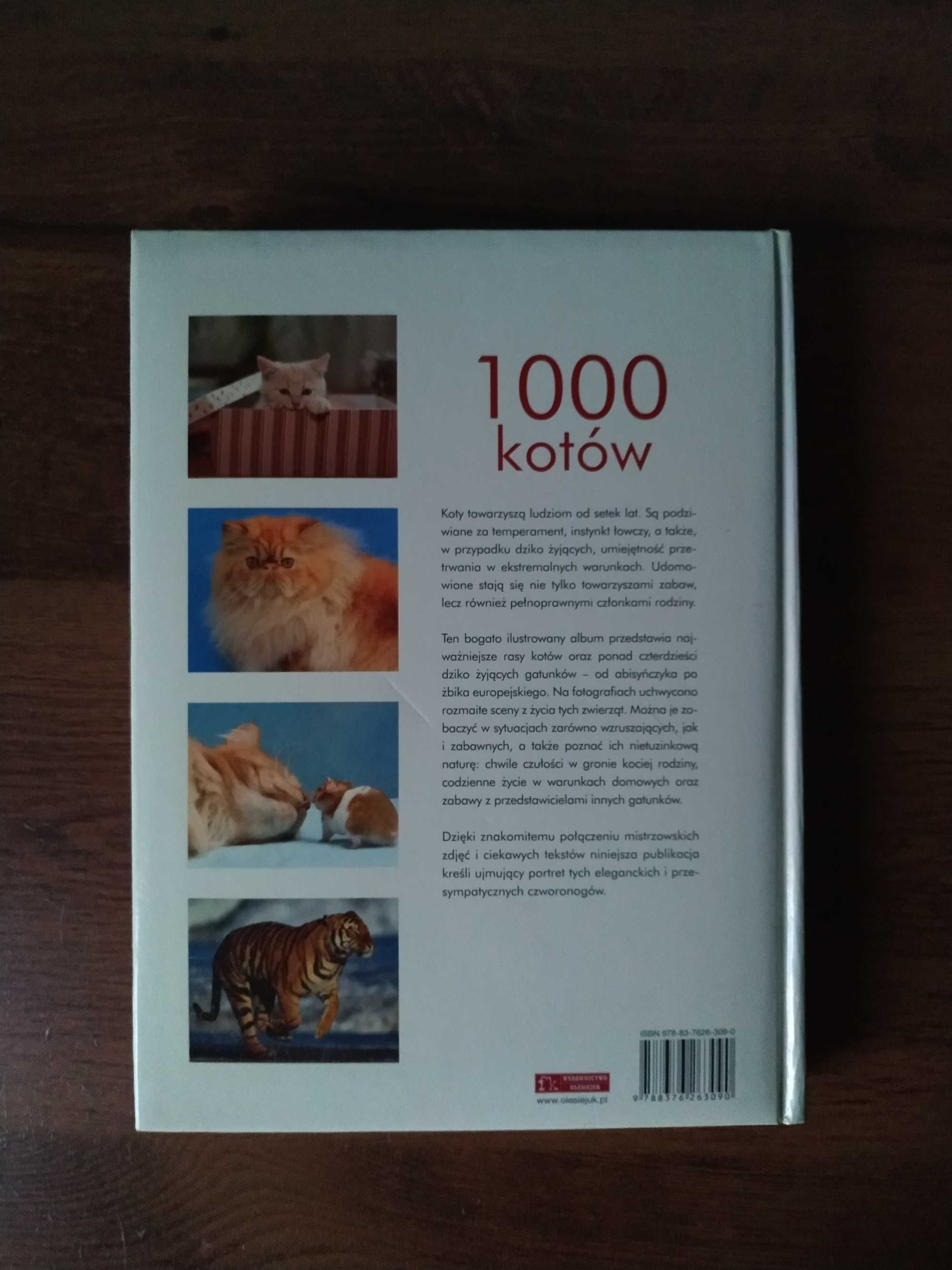 1000 kotów Fascynujący świat kotów w obiektywie książka PROMOCJA