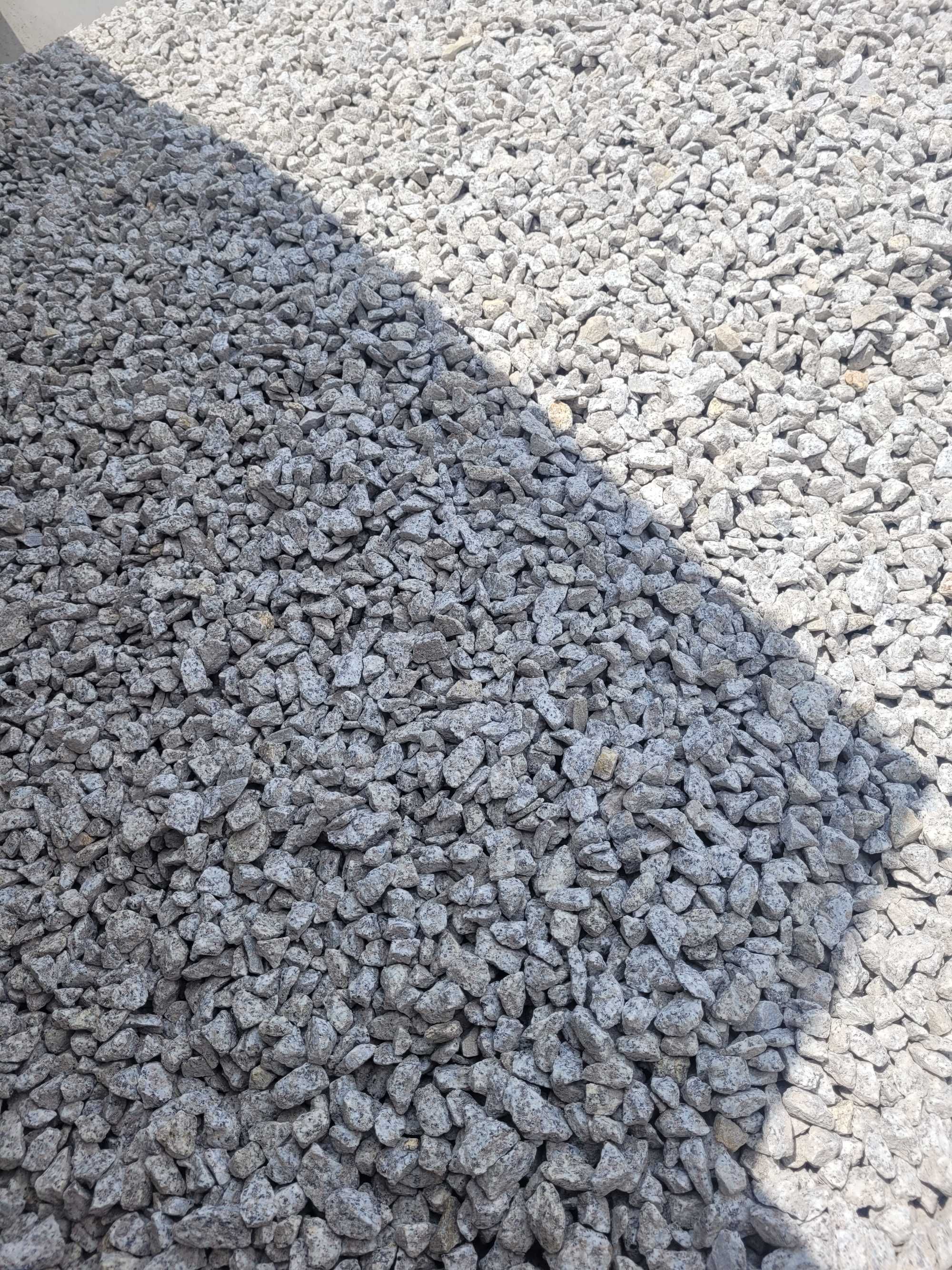 Grys granitowy, dalmatyńczyk