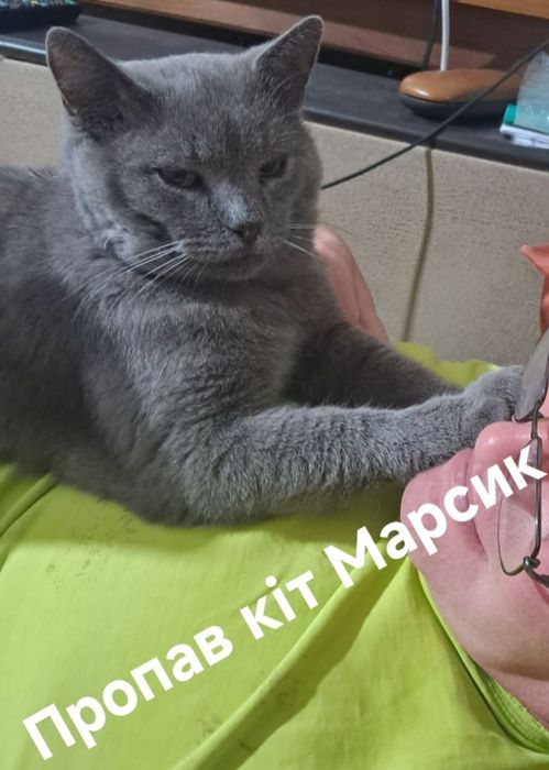 Загубився котик Марсик