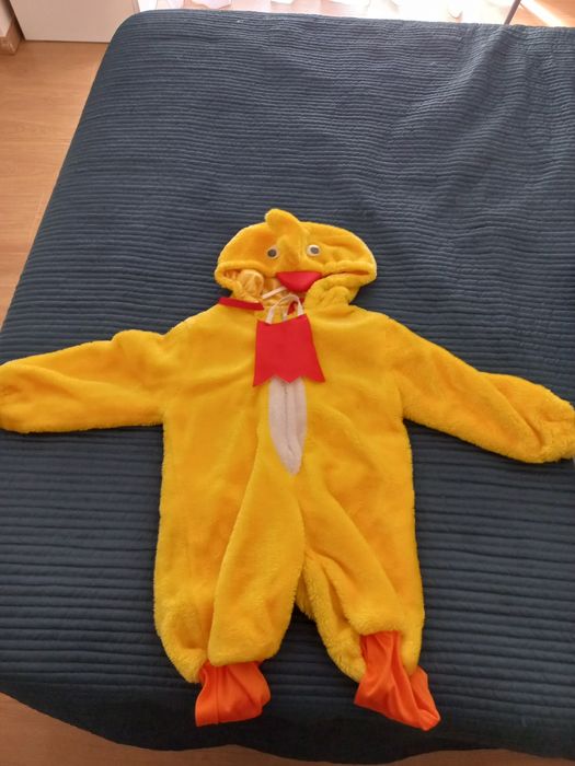 Fato de carnaval Pato