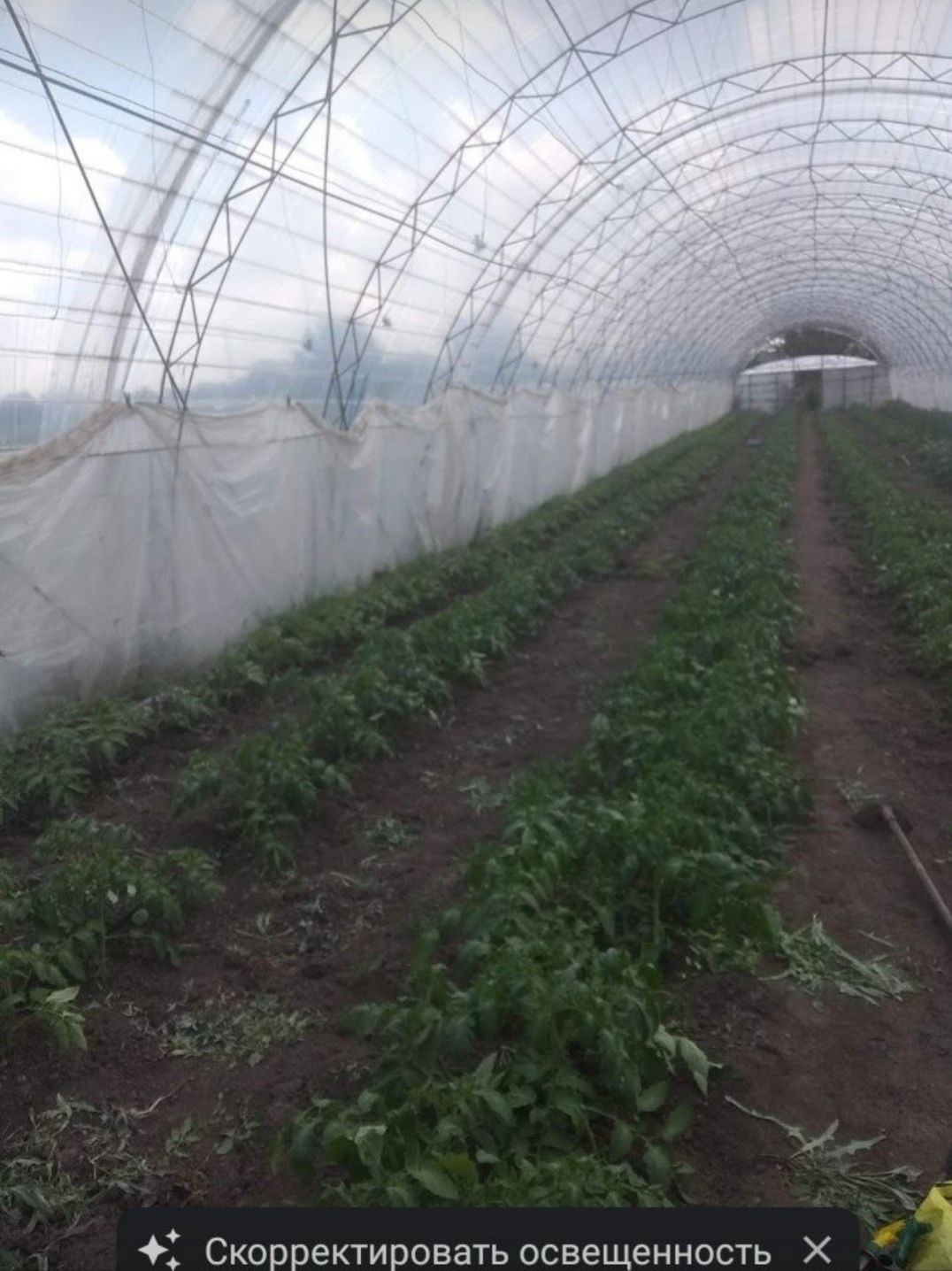 Продам балагани,теплиці.