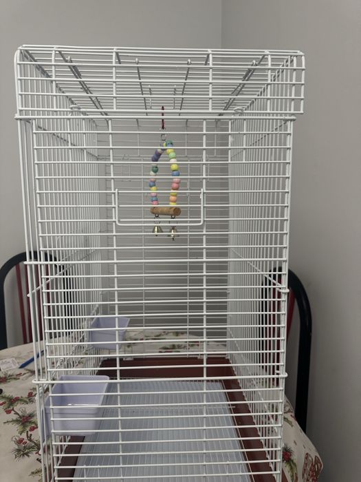 Gaiolas e casas para pássaros como nova .