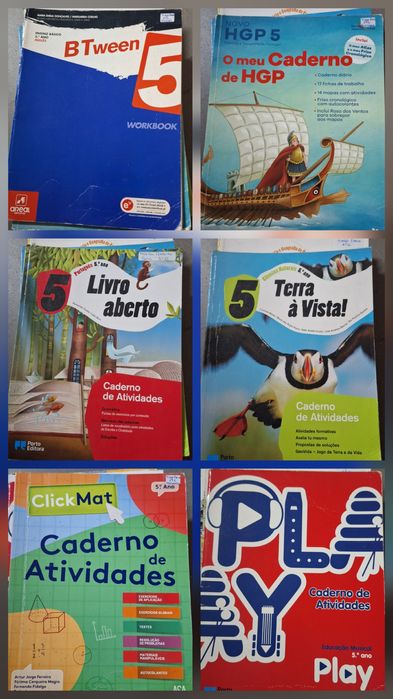 Livros de exercícios 5°ano