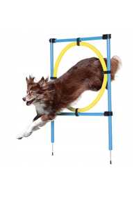 Nowe Akcesoria do treningu agility dla psa Zoofari tyczki pierścień

O