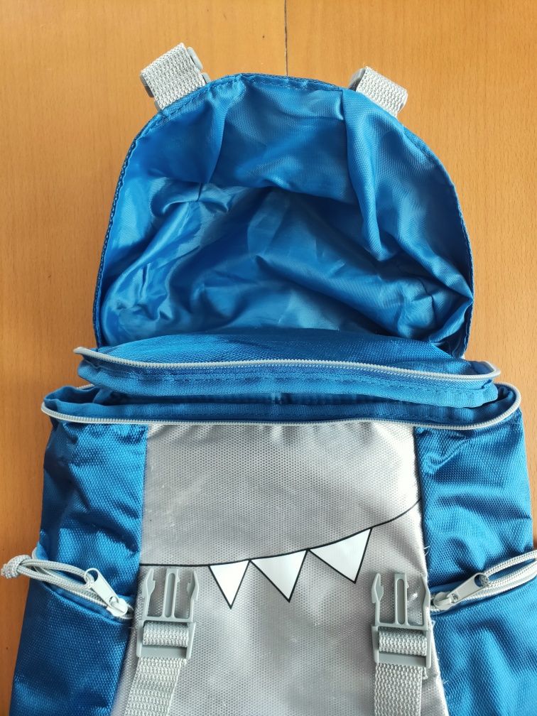 Plecak dla chłopca, na wycieczkę, do przedszkola
