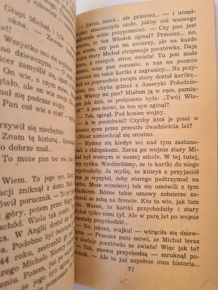 Księżniczka i chłopcy - Janusz Domagalik