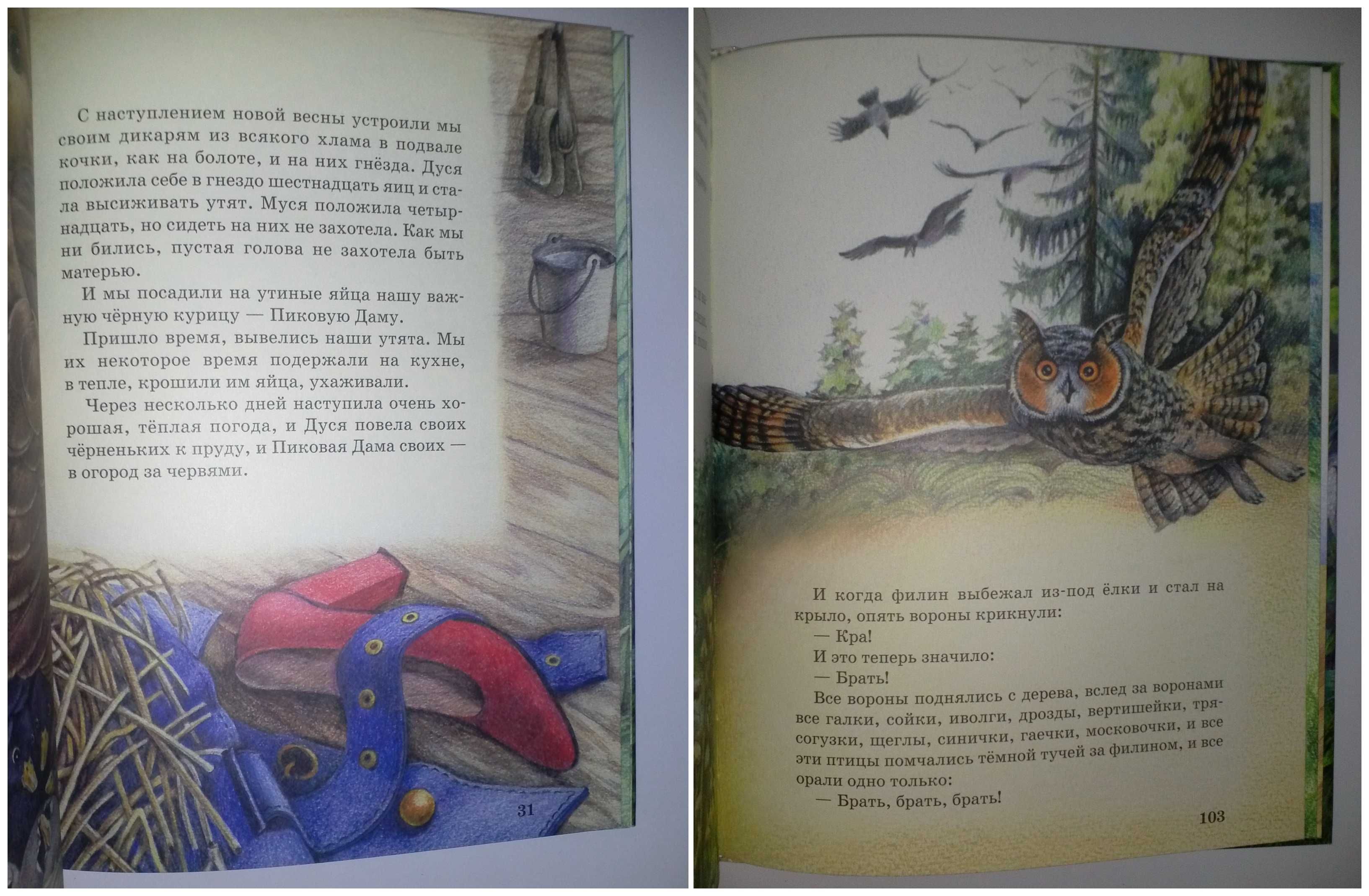 Детские книги Пришвин Рассказы о животных