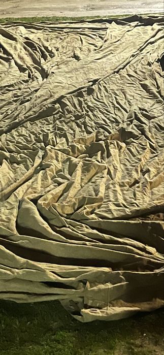 Брезень віськовий грубий