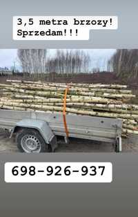 Drewno opałowe iglaste i kominkowe liściaste