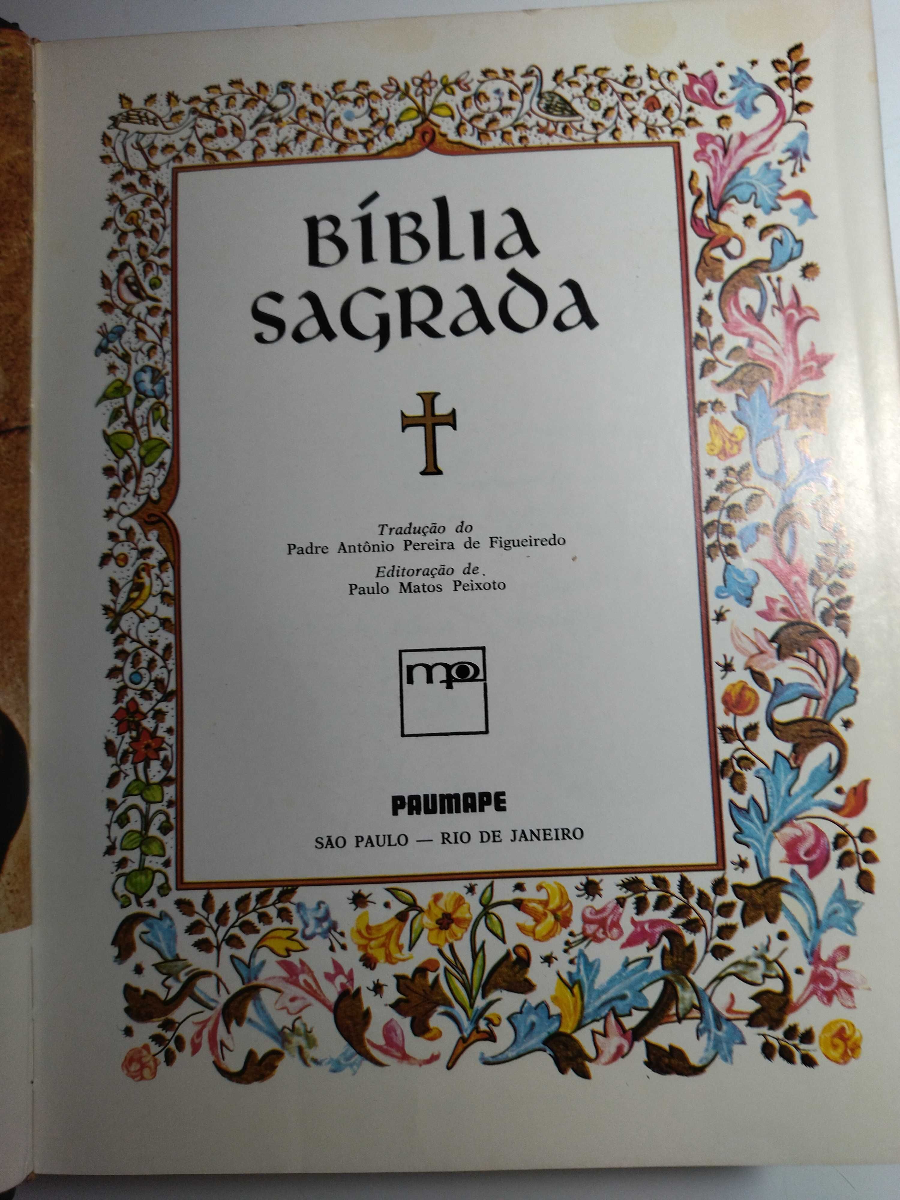 BIBLIA Ilustrada (+ de 1089 páginas)