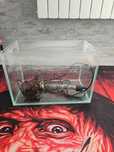 Akwarium krewetkarium 15l