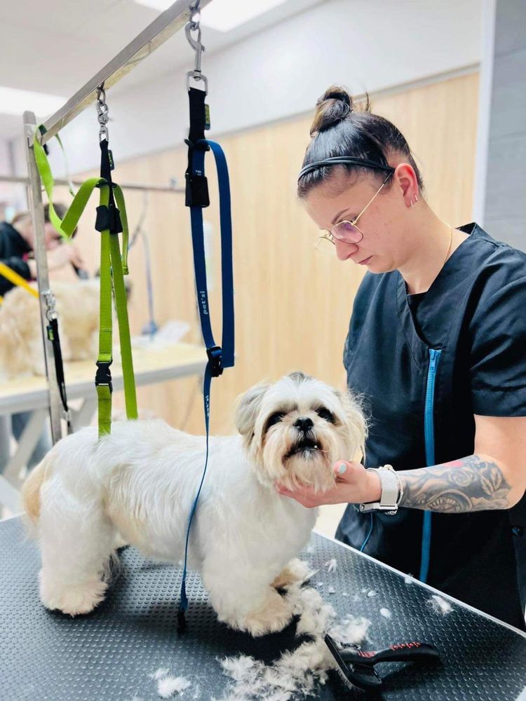 Salon pielęgnacji psów - Psi fryzjer