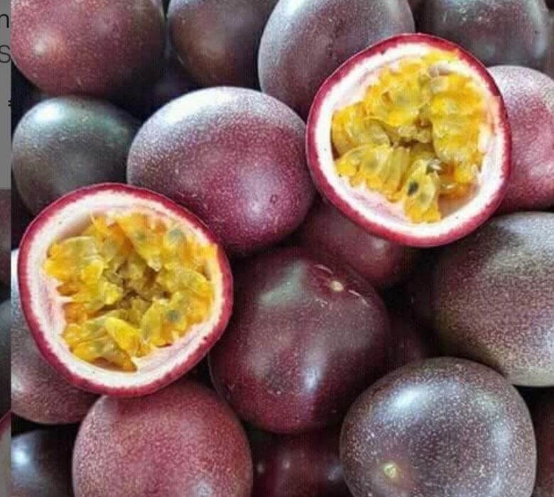 Maracujá roxo biológico