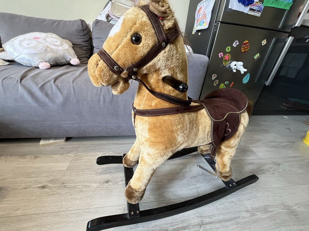 Konik na biegunach