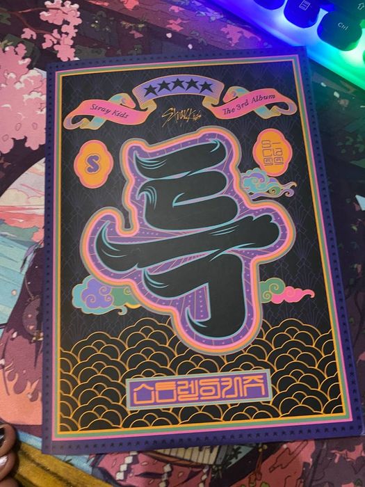 альбом stray kids